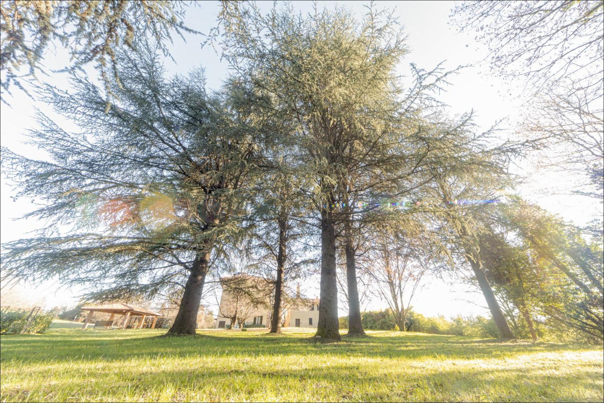Apartamento Cascina Ravona San Fermo della Battaglia Exterior foto